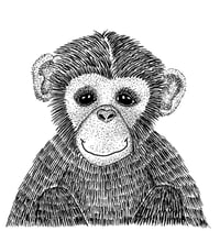 Image 1 of Cheeky Monkey