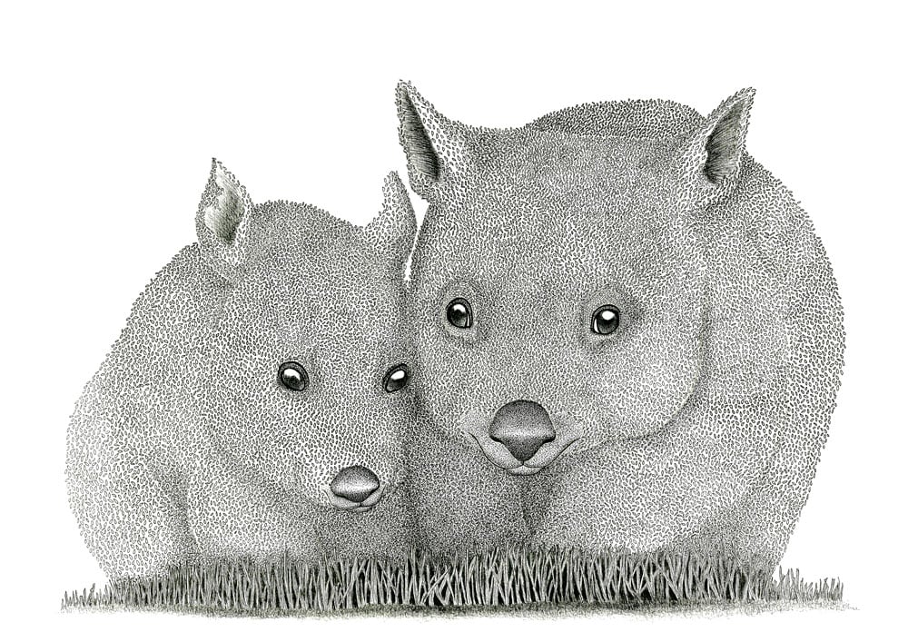Image of Widdle Wombats 