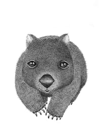 Image 1 of Wombat