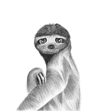 Image 1 of Sassy Sloth