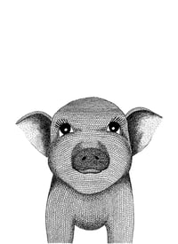 Image 1 of Piggy
