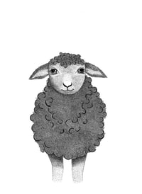 Image 1 of Sheep