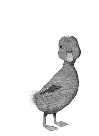 Image 1 of Lil Ducky