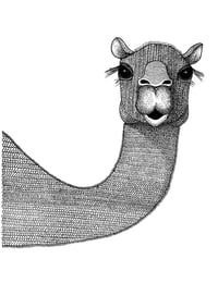 Image 1 of Camel