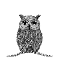 Image 1 of Owl