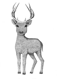 Image 2 of Deer