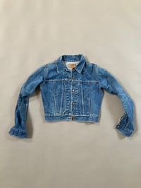 Image of Sphynx Jean Jacket