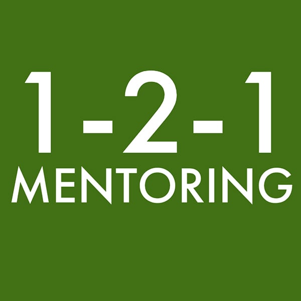 Image of 1-2-1 Mentoring