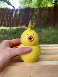 Image 3 of Coppertone Stonecrop in Yellow Chick