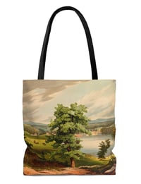 Image 2 of Plate No.372 tote bag