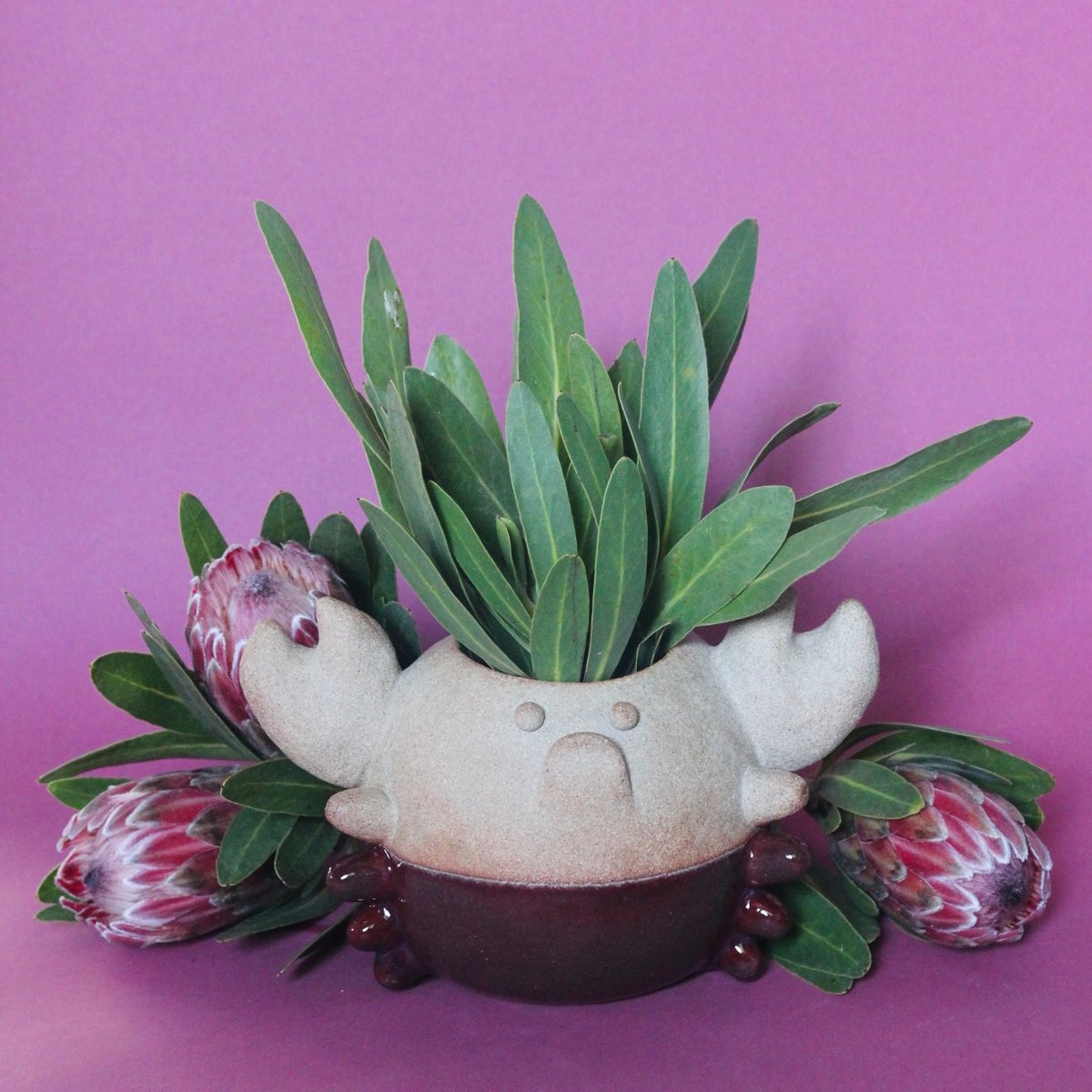 Image of Mr. Crabbypants planter/vase