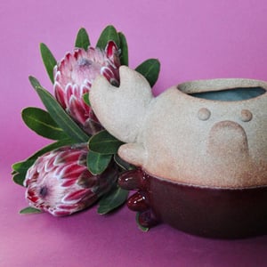 Image of Mr. Crabbypants planter/vase