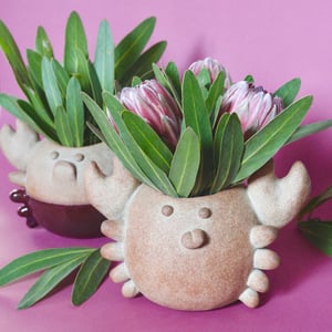 Image of Mrs. Crabby planter/vase
