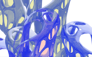 Image of M A C R O