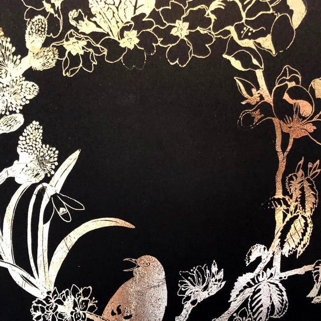 Tinctures - spring blackbird