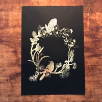 Image 2 of Tinctures - spring blackbird