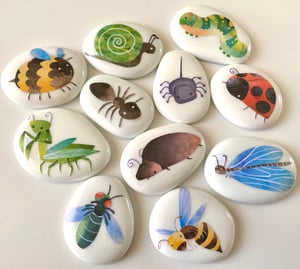 Image of Bugs and Insects 