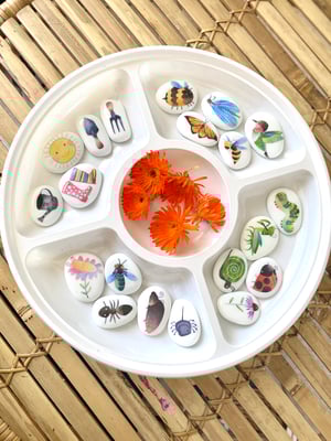 Image of Bugs and Insects