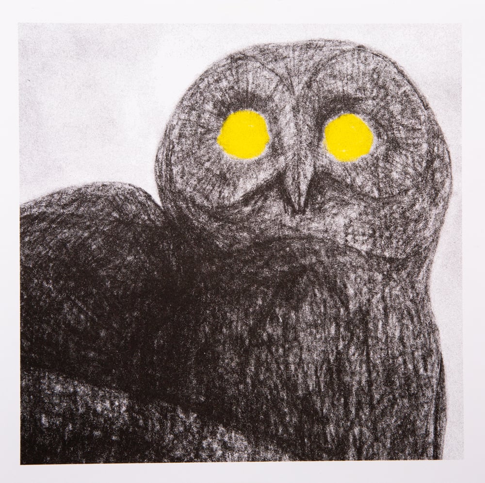 Image of SERIE (2) "ATOMS & OWLS 01/02" Miissa Rantanen