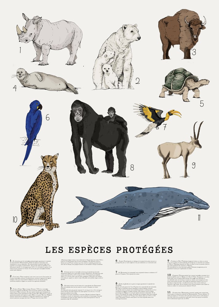 Image of Espèces protégées 