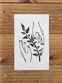 Branches