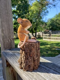 Image 3 of It's Cold Mouse