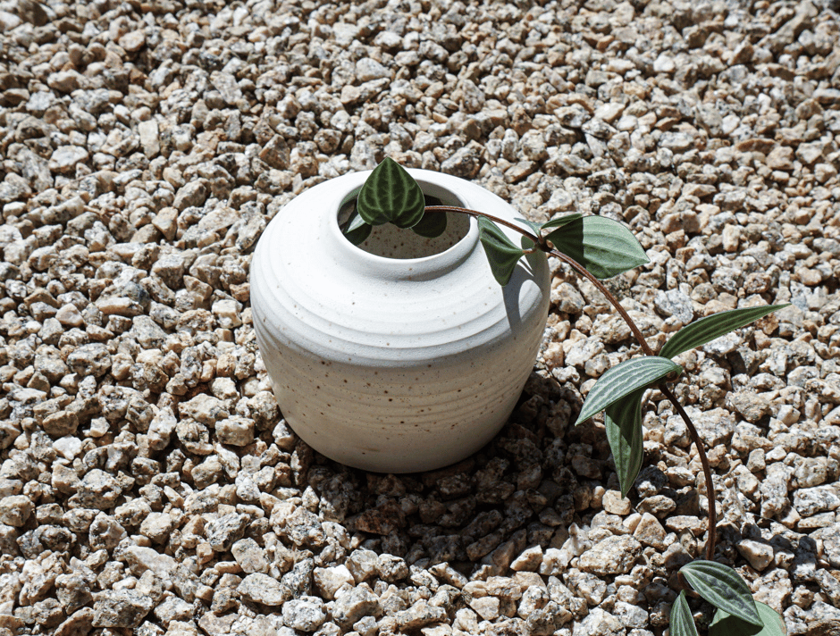 Image of Eggshell Bud Vase