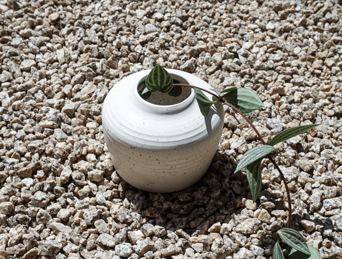 Image of Eggshell Bud Vase