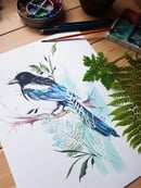 Image of Magpie Size A4