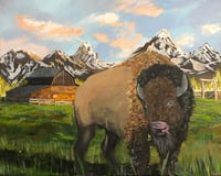 Bison on the Ranch