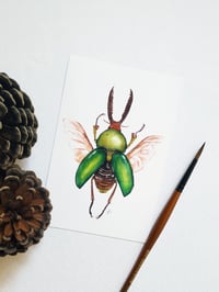 Image 4 of Beetle Postcard Set 