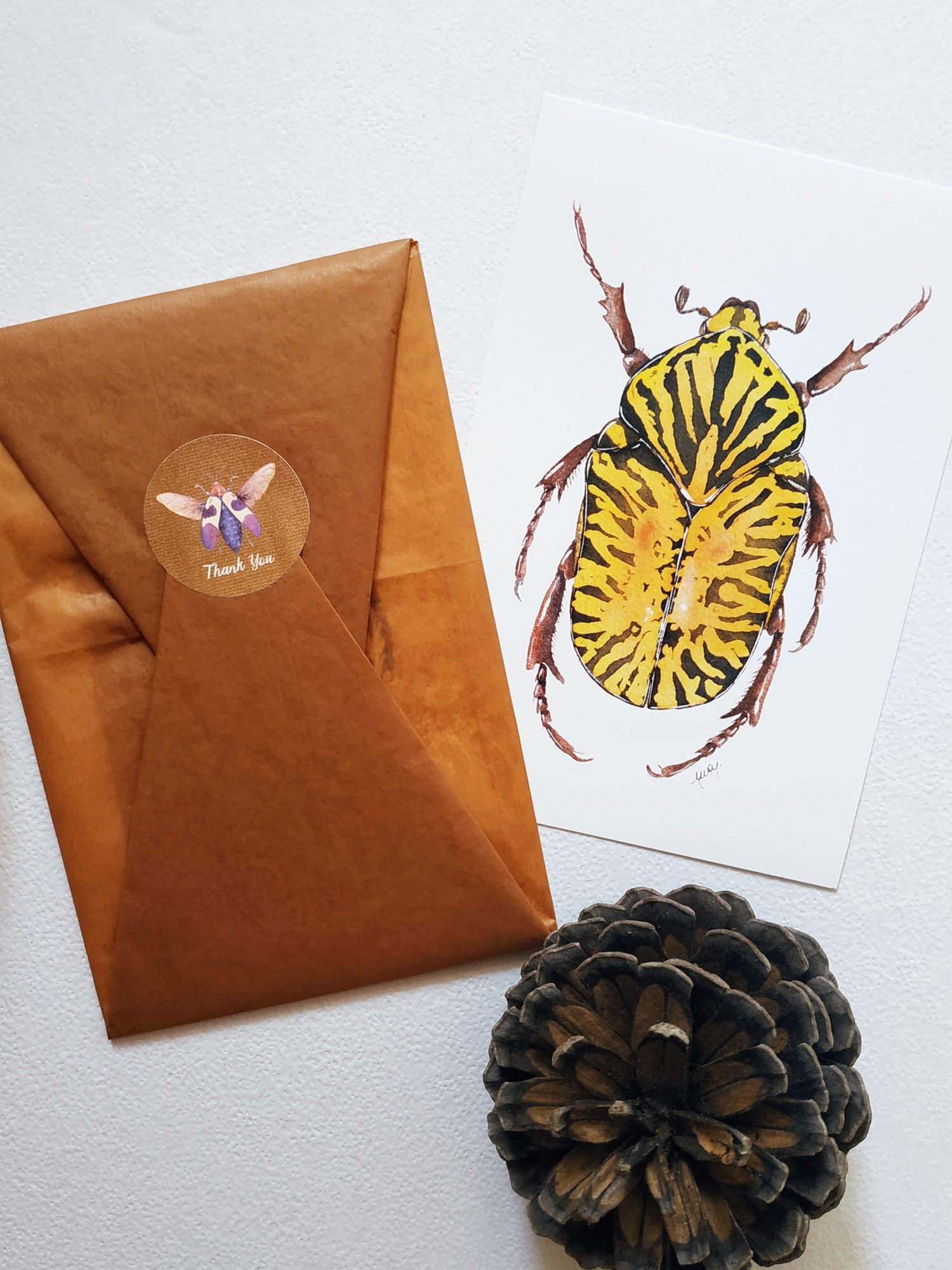 Image of Beetle Postcard Set 