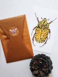 Image 5 of Beetle Postcard Set 