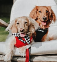 Image 3 of Checkered