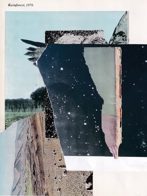 Image of Vincent Pacheco Puzzle