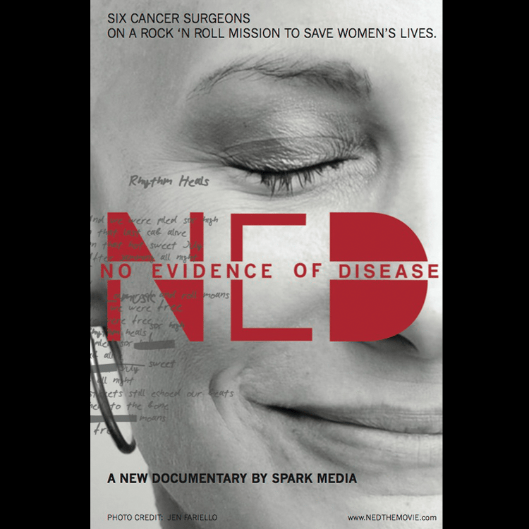 Image of N.E.D. 4x6 Postcard - 50 Pack