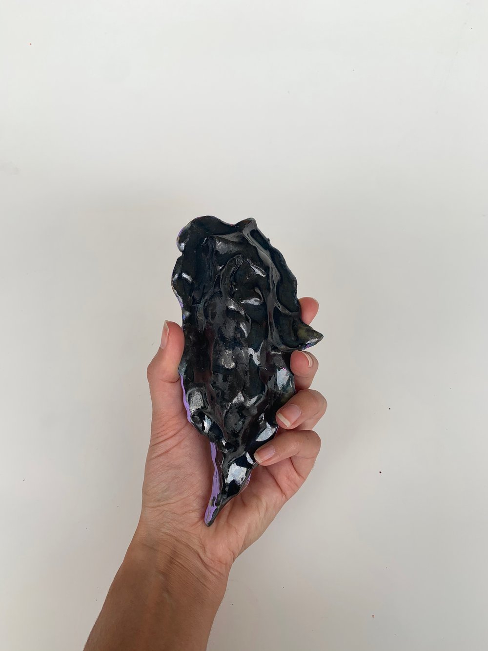 Image of 2 side jelly fish 