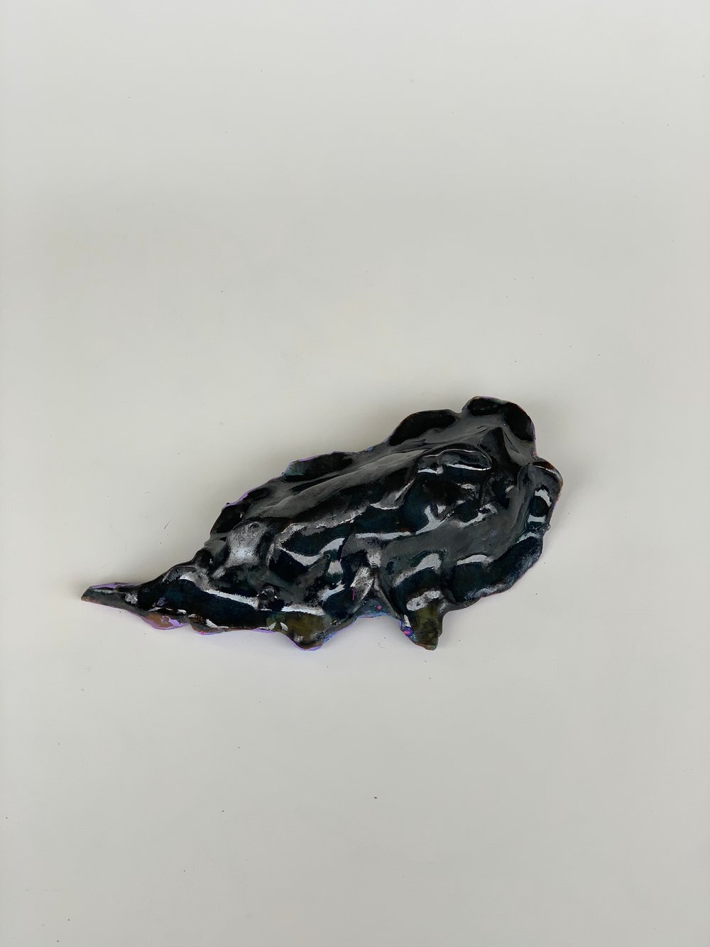 Image of 2 side jelly fish 