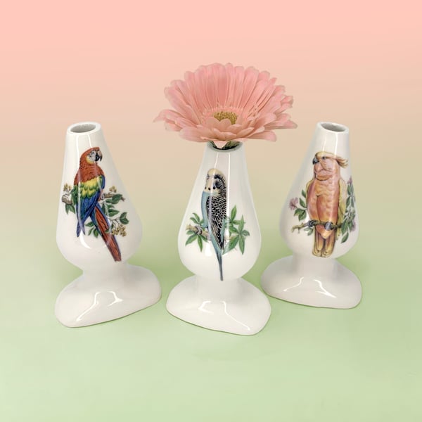 Image of Butt Plug Stem Vases - Tropical Birds