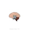 Cerebro Floral - Sticker