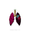 Pulmones Anatómicos - Serie #TB Stickers
