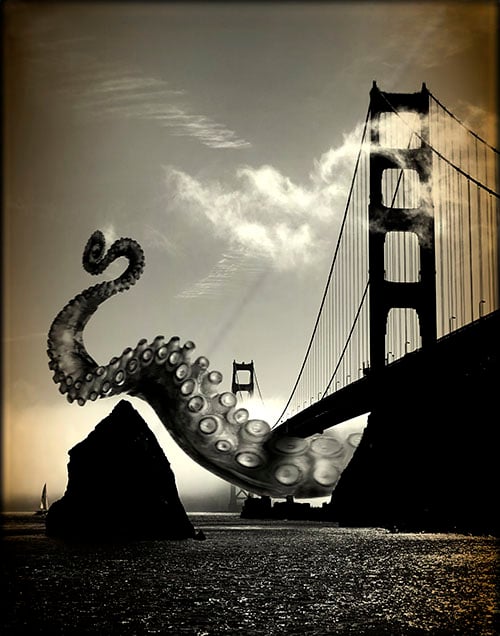 Image of Kerri Stephens: Golden Gate Print
