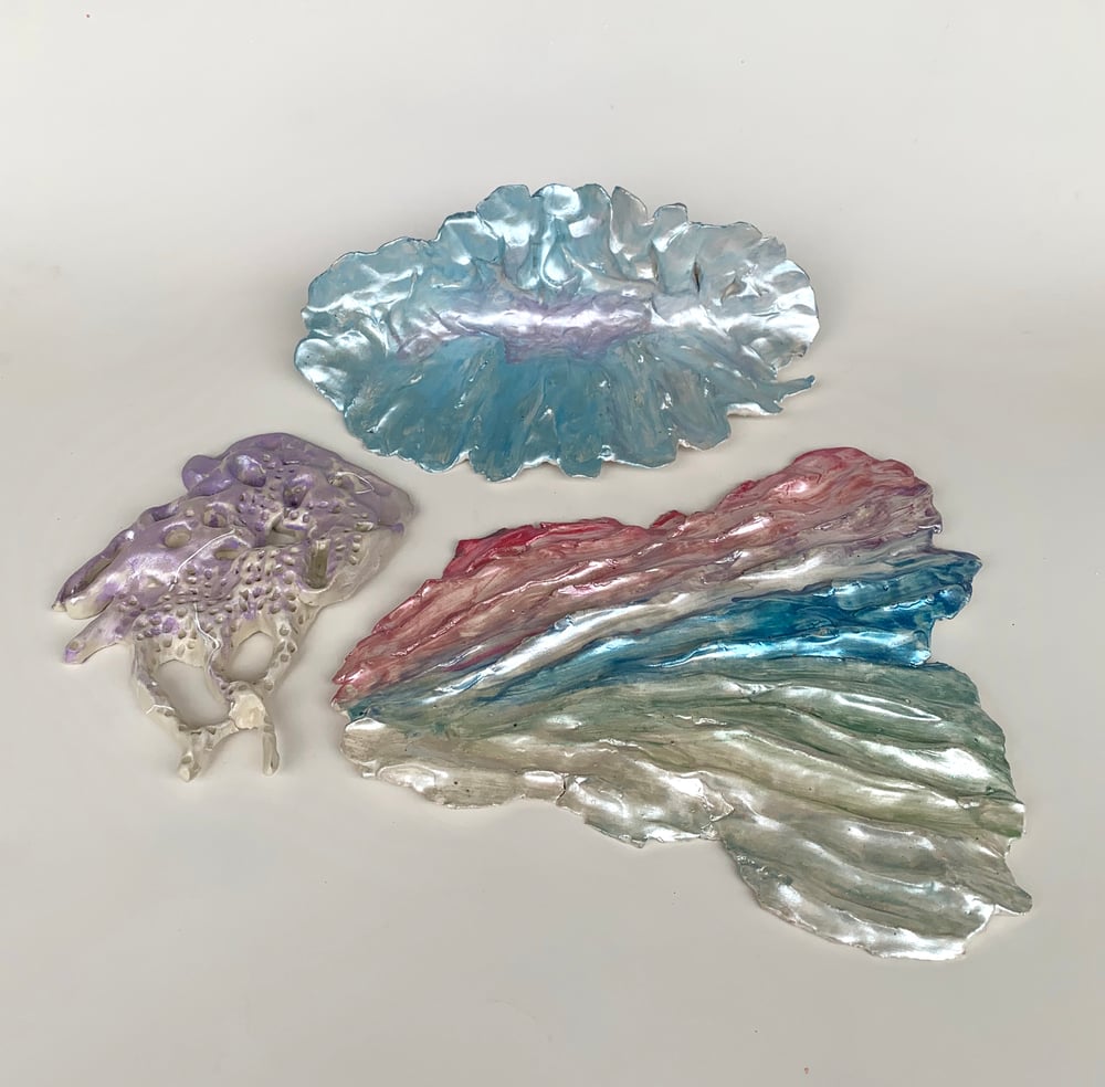 Image of Rainbow Shell