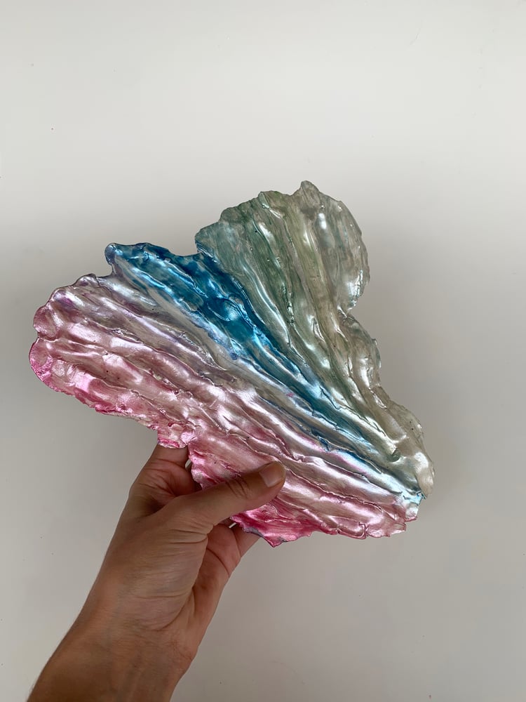 Image of Rainbow Shell