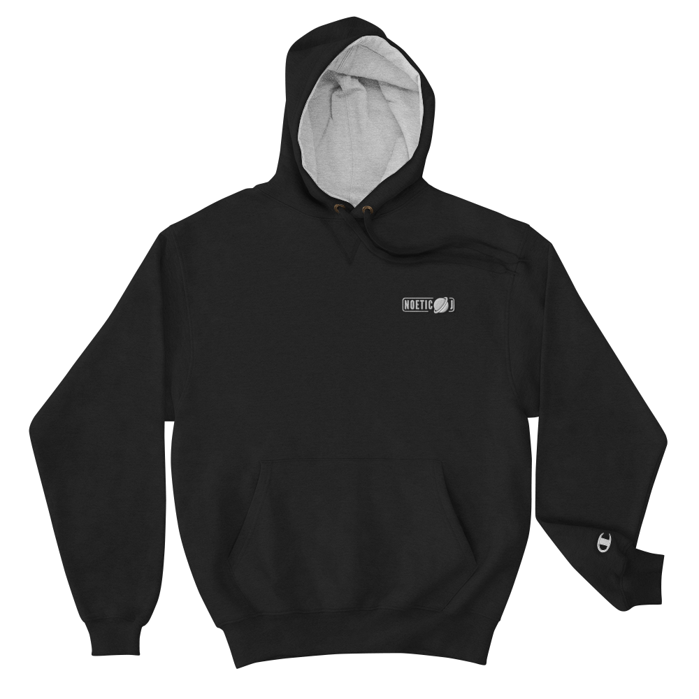 grey embroidered champion hoodie