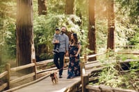 Image 3 of Redwood Park