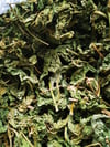 Gully Root /Guinea Hen Weed 30g  (leaf) 