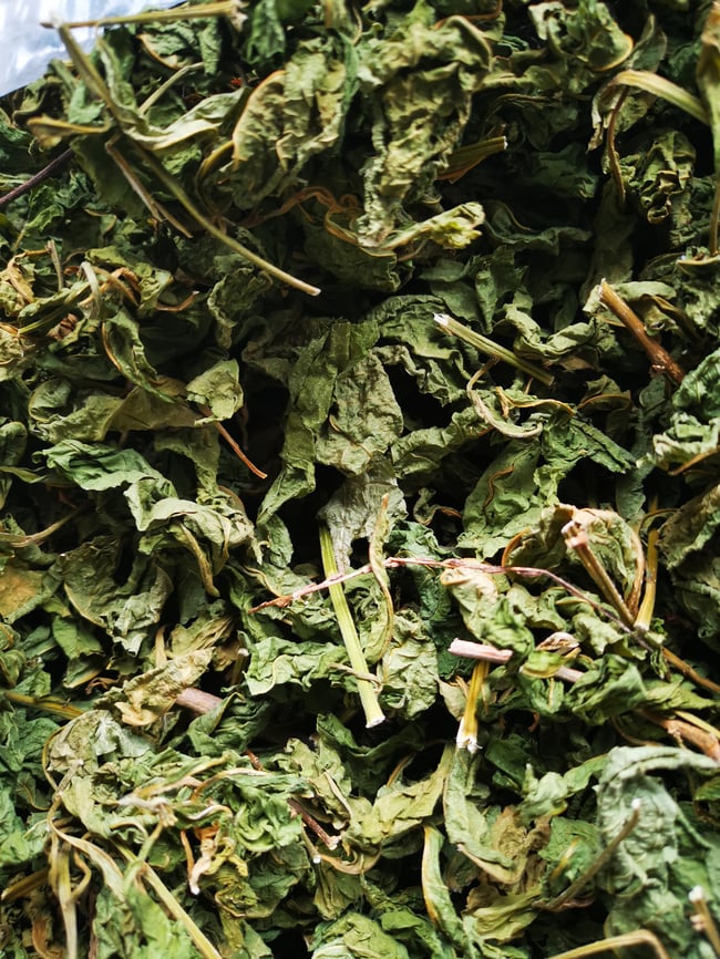 Gully Root /Guinea Hen Weed 25g  (leaf) 