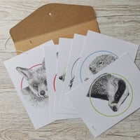 Image 4 of British Wildlife - Set of Six Signed Prints