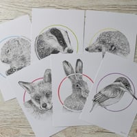 Image 3 of British Wildlife - Set of Six Signed Prints